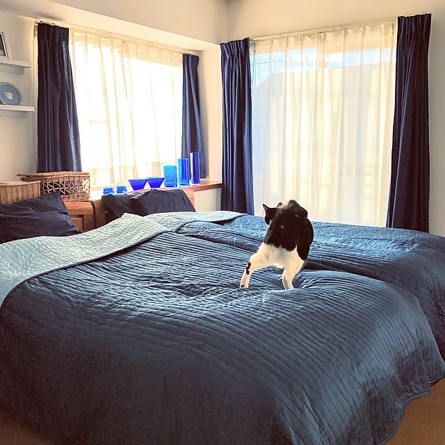 hiyo.pietさんの実例写真