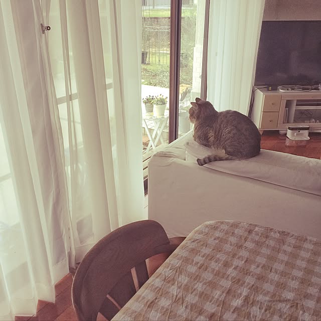 mapleさんの実例写真