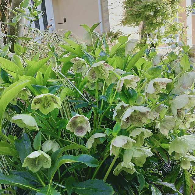 feuileさんの実例写真