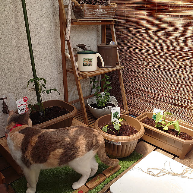 fukuさんの実例写真