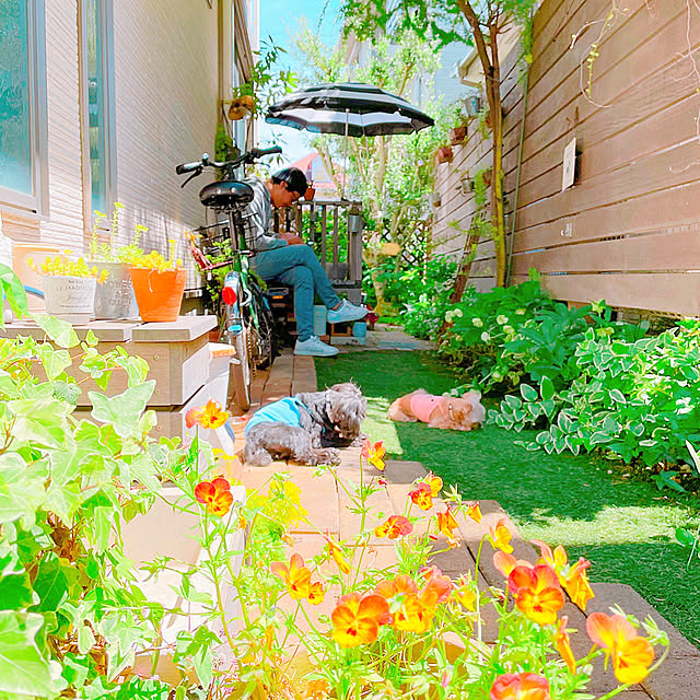 risaさんの実例写真