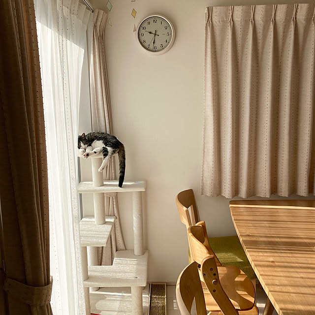 rinonori3さんの実例写真