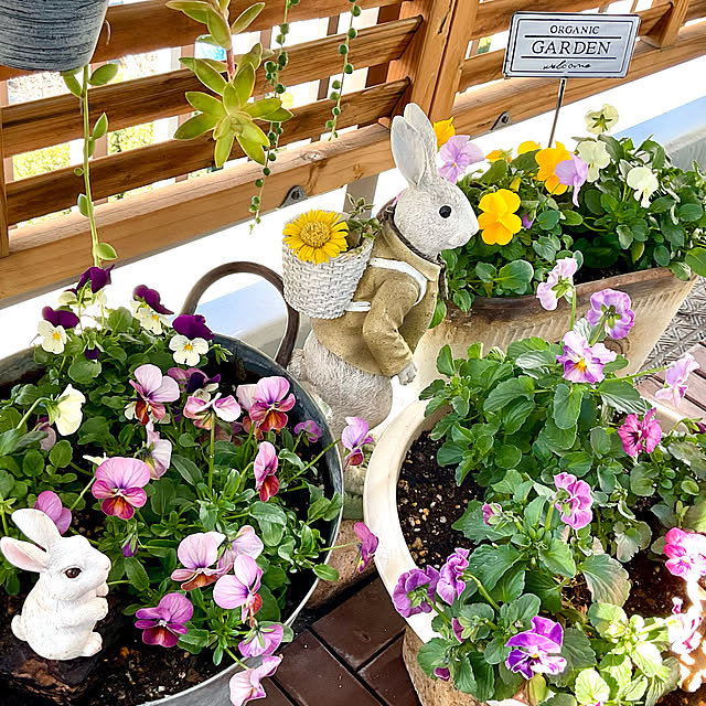 2.11maririnさんの実例写真