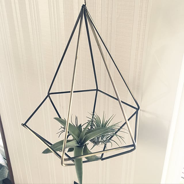 ohnunulaさんの実例写真