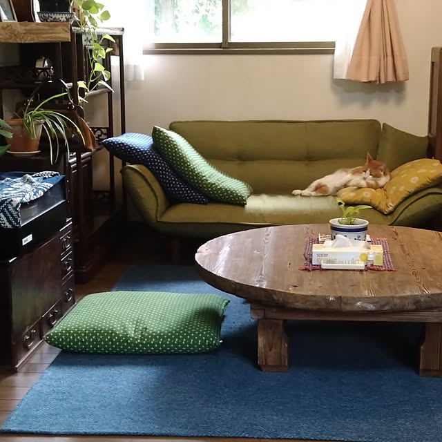 実例写真