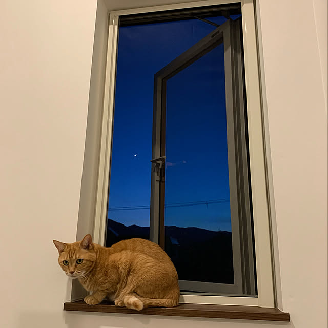 mikeume7さんの実例写真