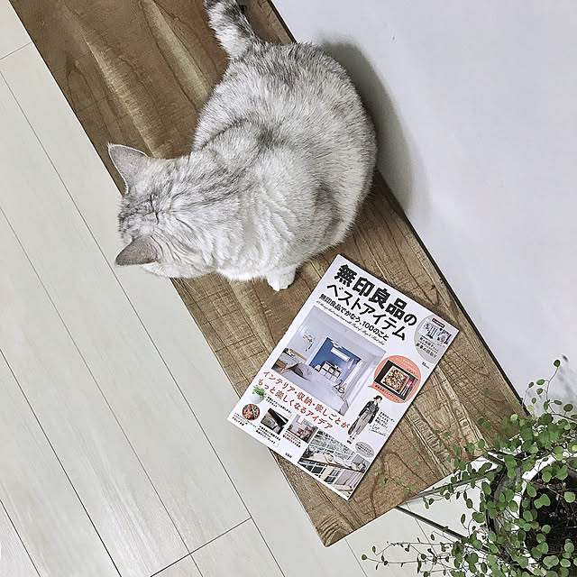 Ucoさんの実例写真