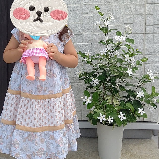 dolceさんの実例写真