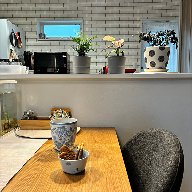 pipikapiさんの部屋