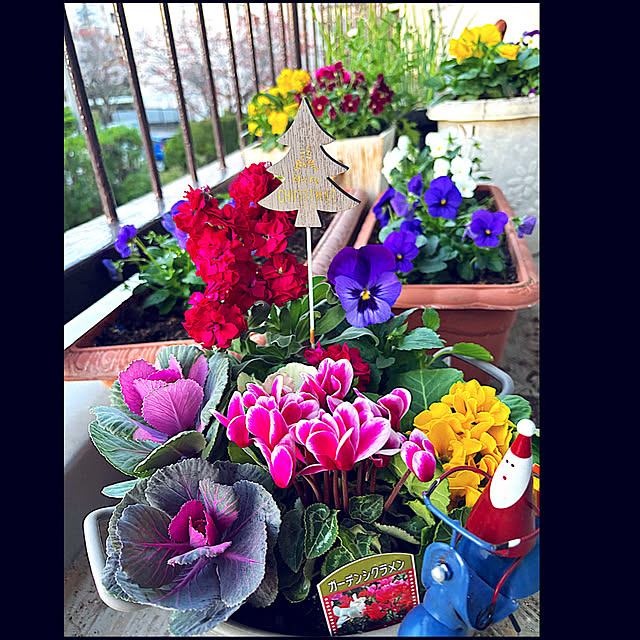 syutmmさんの実例写真