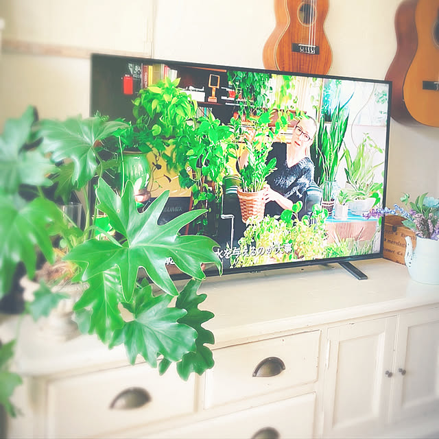 akさんの実例写真