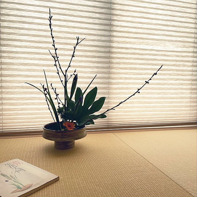 yuriireeenさんの実例写真
