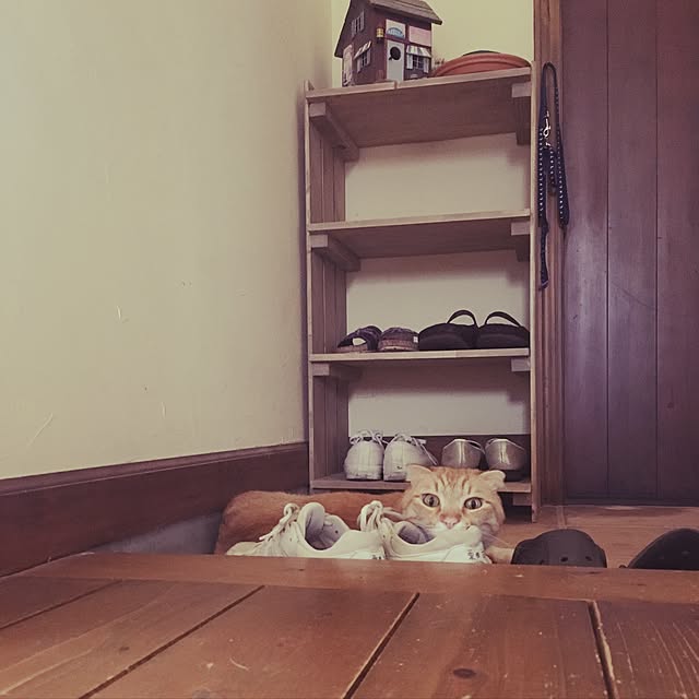 mojohandさんの実例写真