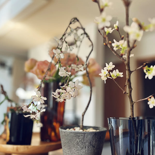 akiさんの実例写真