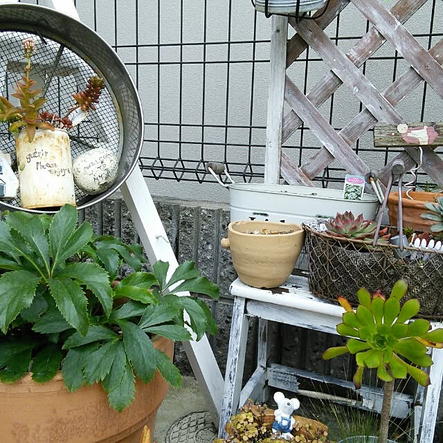 satokotokoさんの実例写真