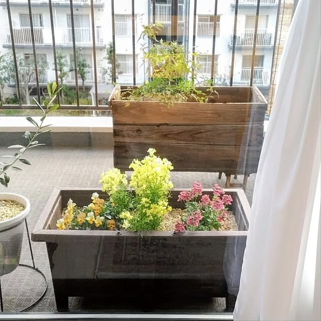 mi-saさんの実例写真