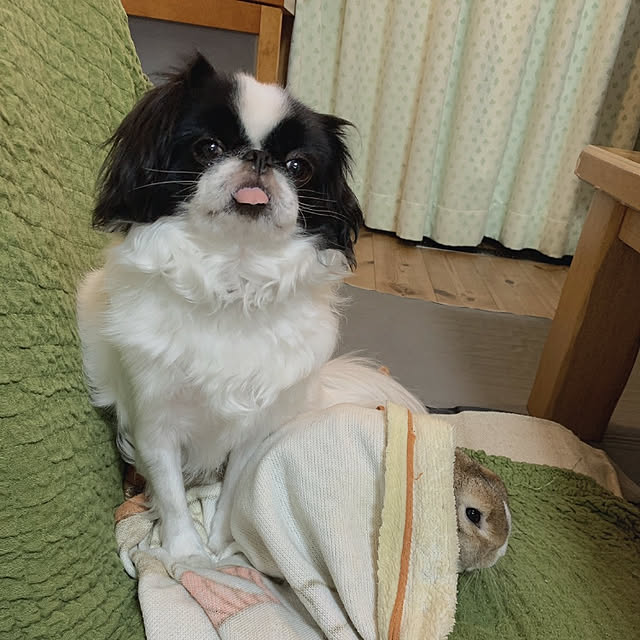 yomogiさんの実例写真