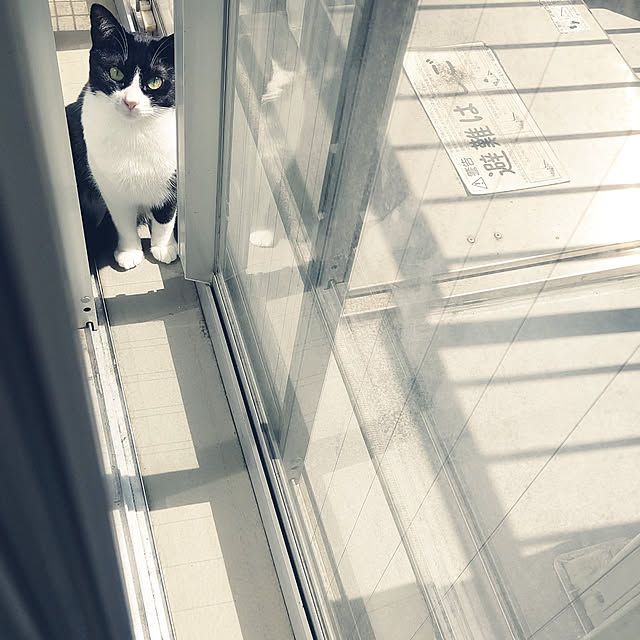 hihaさんの実例写真