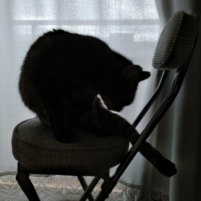 lilyさんの実例写真