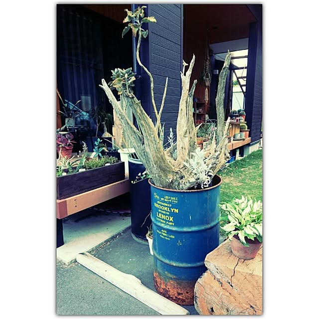 miccoさんの実例写真