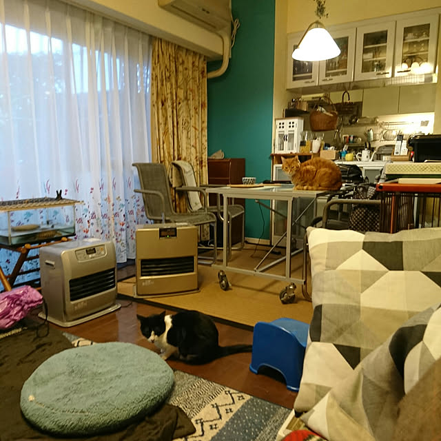 okyosan101さんの実例写真