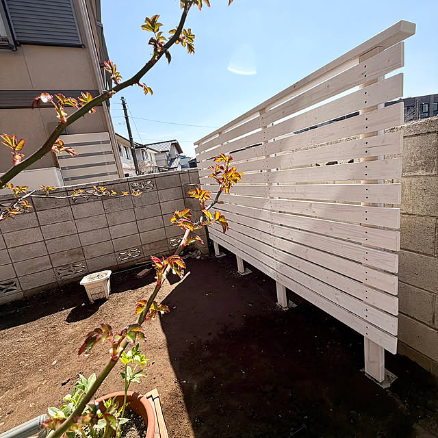 chaimomさんの部屋