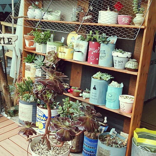 sakusakuさんの実例写真