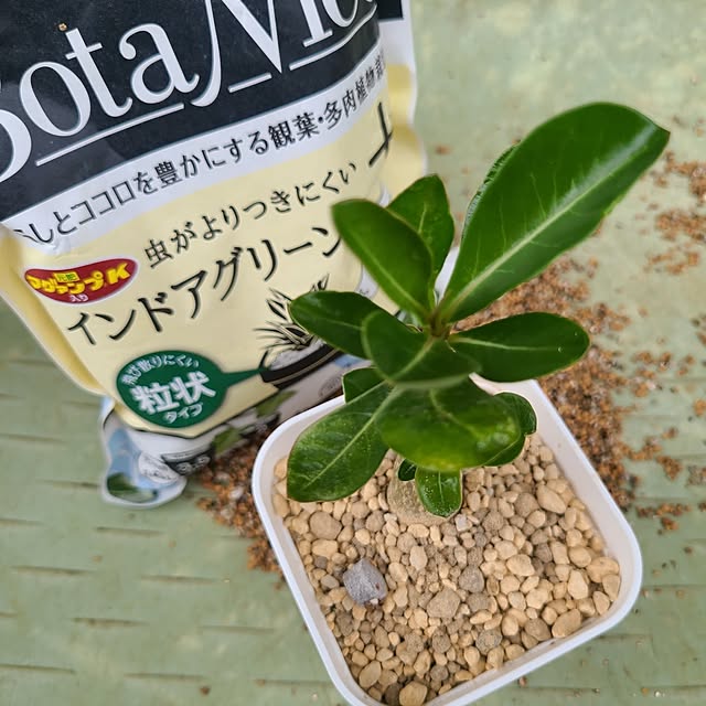 Rubiconさんの部屋