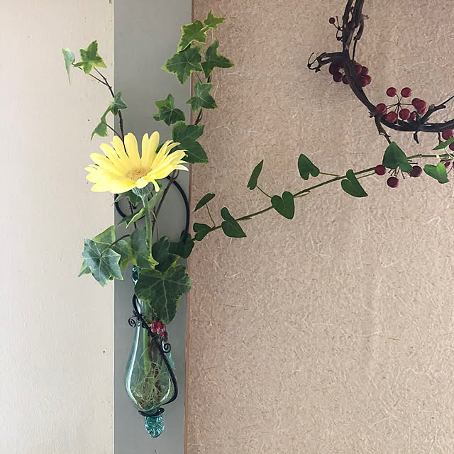 Mitsuさんの部屋