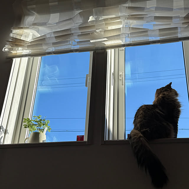 SUNさんの部屋