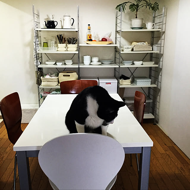 komachi55Nさんの実例写真