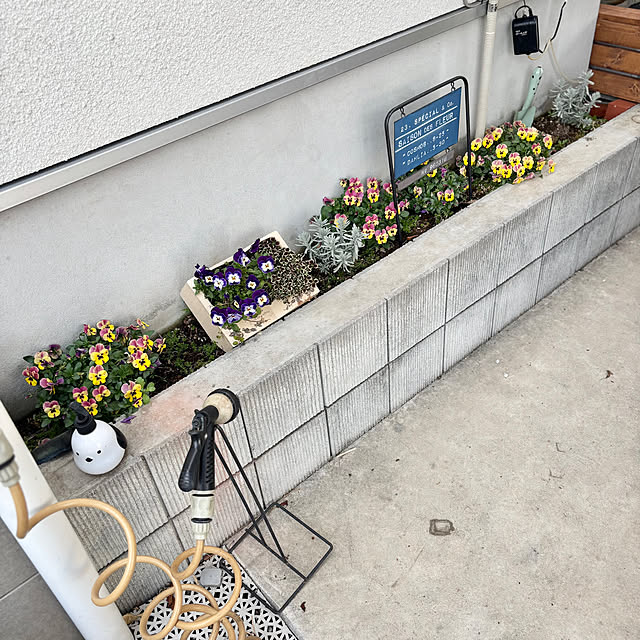 Minteaさんの部屋