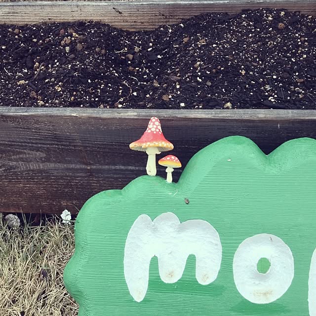 wさんの実例写真
