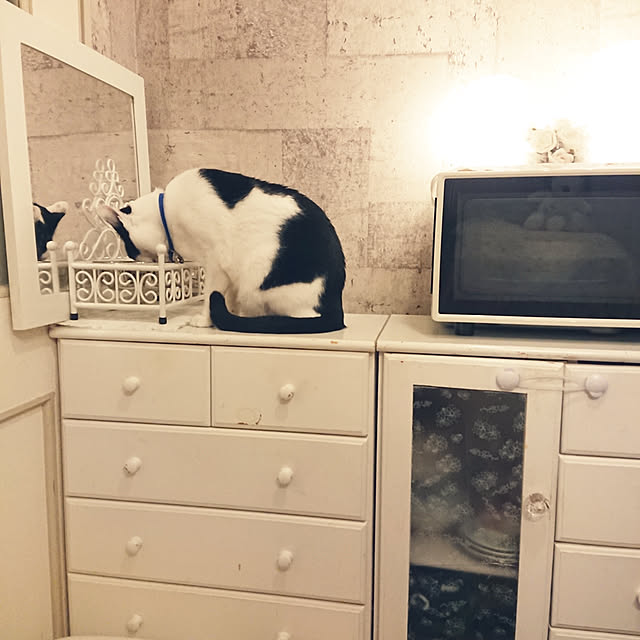 asuminさんの実例写真
