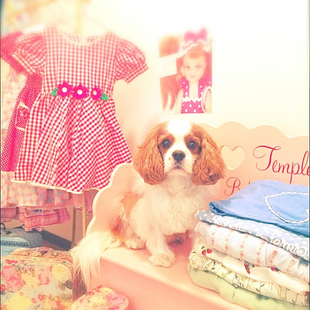 実例写真