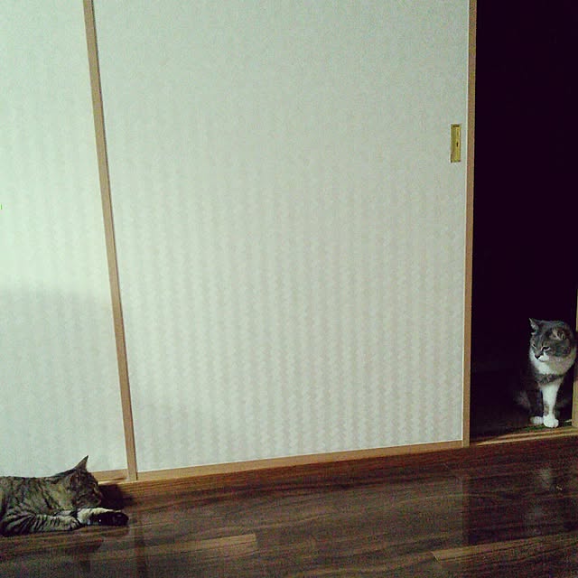 lovepandaさんの実例写真