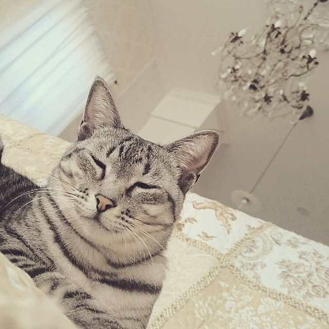 mipoさんの実例写真