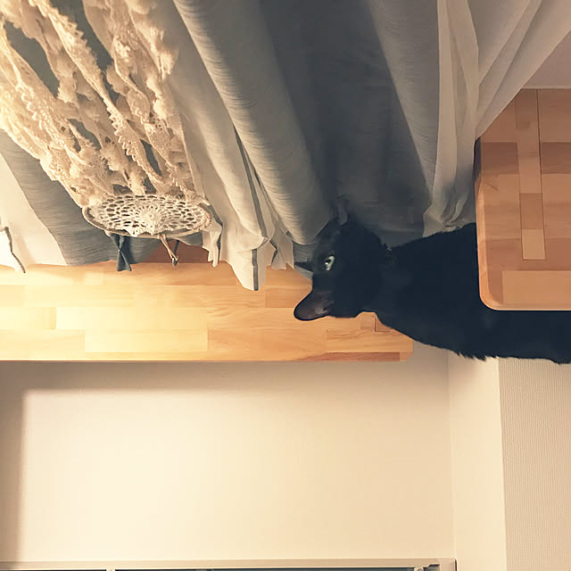 momocoさんの実例写真