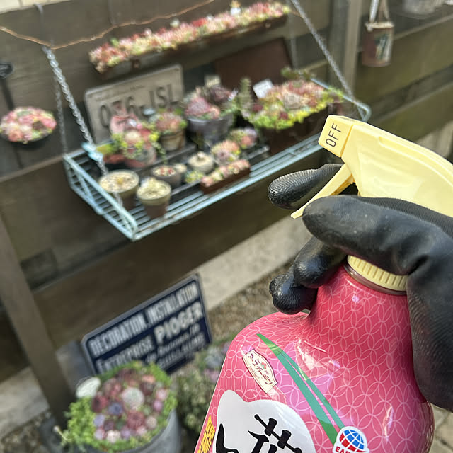 shhさんの部屋