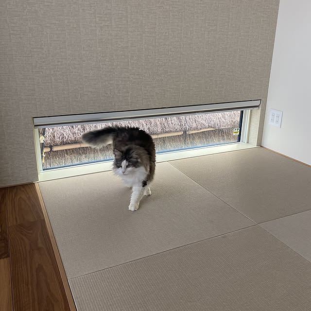 soraさんの実例写真