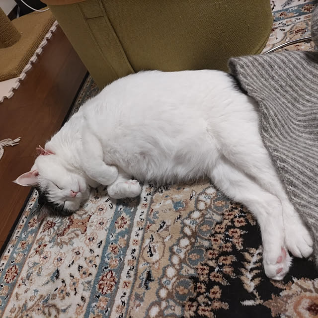 yuuさんの実例写真