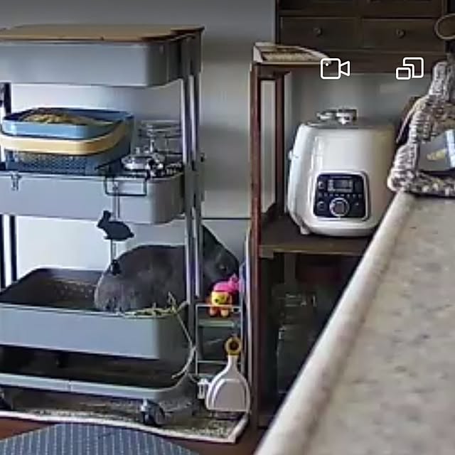 kirariさんの部屋