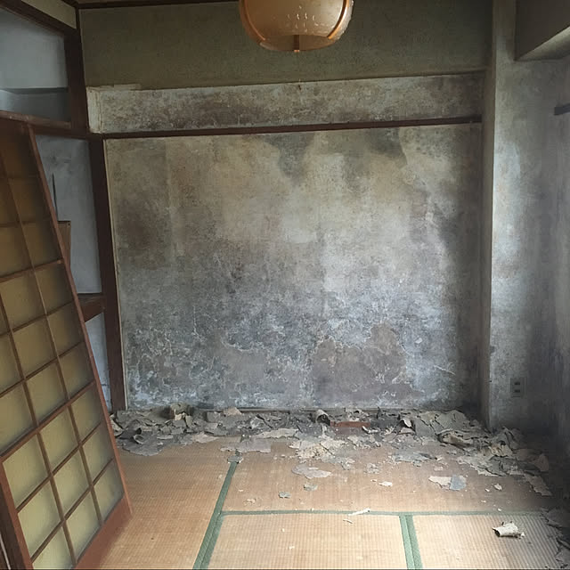 実例写真