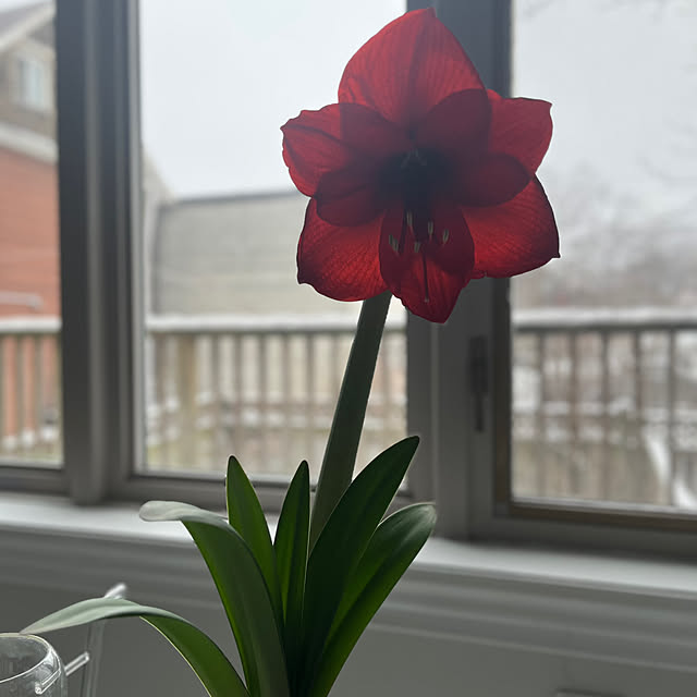 cocoarashさんの部屋