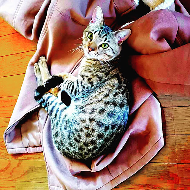 ken.kawakamiさんの実例写真