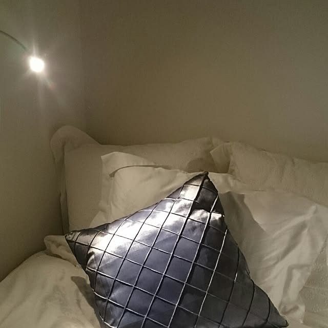 Mayumiさんの実例写真