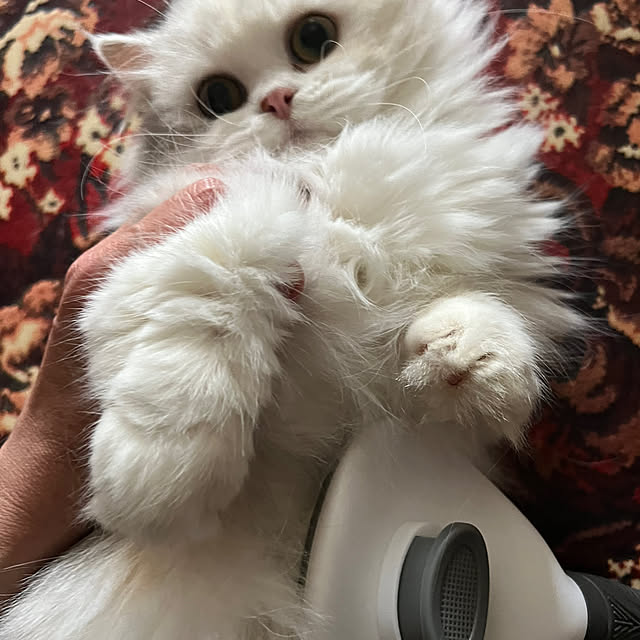 AYUKOさんの実例写真