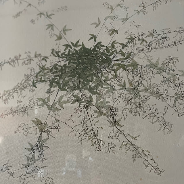 buchiさんの部屋