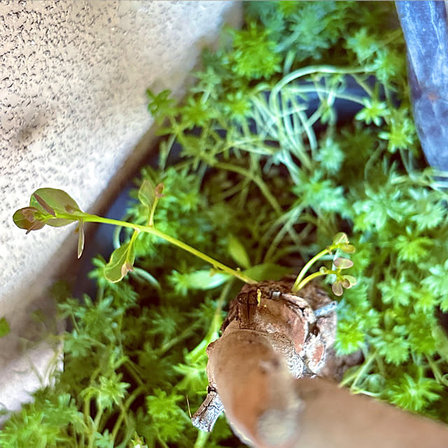 takakoさんの部屋