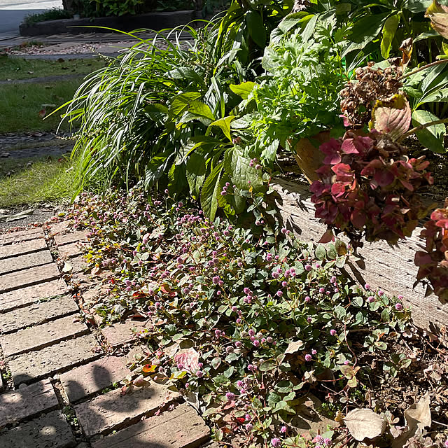 nobikoさんの部屋